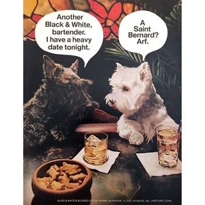 1974 Scottie & Scottish Terrier Westie Dogs at Bar photo Black & White Scotch Ad